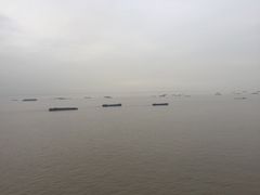 -吴淞口国际邮轮码头-停车场