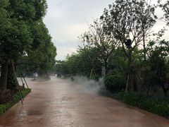 -美的鹭湖森林度假区