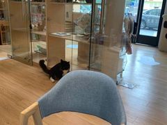 -Pets First伊珊娜洗护·精致美容·家庭式寄养(新会路店)