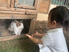 -蒙蒙狮蒙台梭利儿童之家