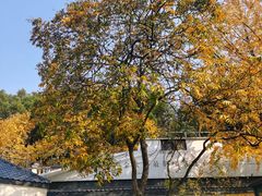 -食膳公园包子铺(烈士公园店)