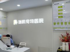 -瑞鹏宠物医院·夜间急症·心超·猫科(祖庙分店)