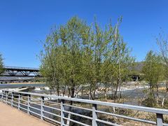 -永定河休闲森林公园