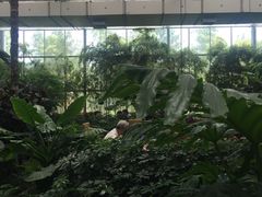 -汤山翠谷生态餐厅