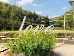 -宁波浙东大竹海景区