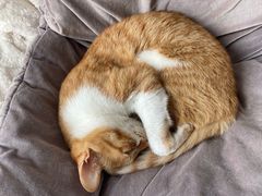 -新荟城(望京店)