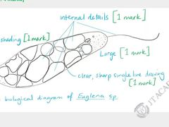 -JT PREP国际学科课程·IB·AP·Alevel(陆家嘴校区)