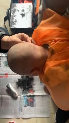 -龙文宝贝上门婴儿理发满月剃胎毛(浦东店)