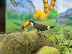 -杭州野生动物世界