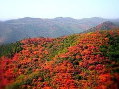 -香山公园