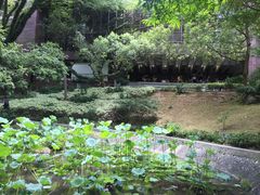 -香港大学