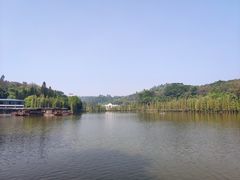 -三水森林公园
