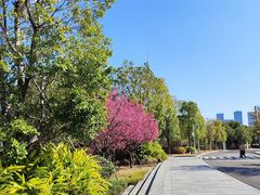 -福州海峡文化艺术中心