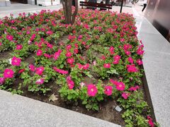 -枫叶小镇奥特莱斯