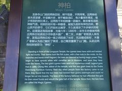 -北京凤凰岭