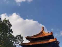 -亭林园-华藏寺