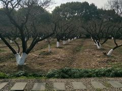 -白马涧龙池景区