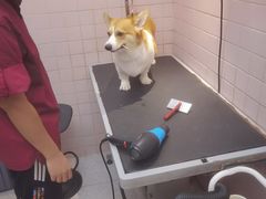 -FAELING PETS美天灵宠物(富力广场店)