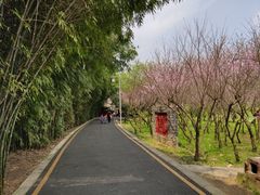 -贵阳市花溪国家城市湿地公园