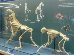 -国家自然博物馆