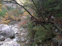 -青峰峡国家森林公园