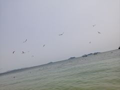 -棒棰岛宾馆景区