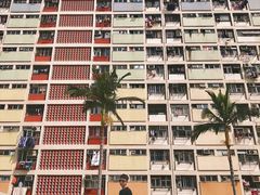 -彩虹村