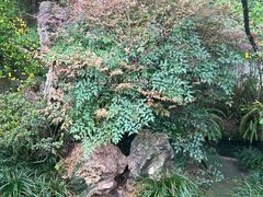 -成都杜甫草堂博物馆
