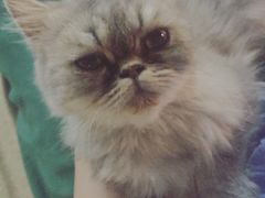 -赢吧Bliss音乐酒吧