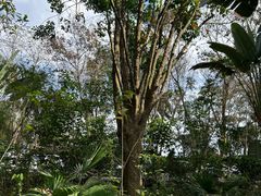 -海南热带野生动植物园