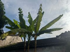 -前童古镇
