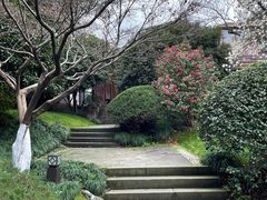 -中国茶叶博物馆(双峰馆区)