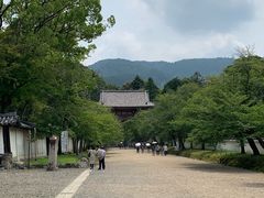 -醍醐寺