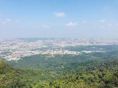 -紫金山山顶公园