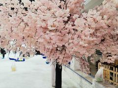 -Mr·Kuma酷么先生雪之乐园