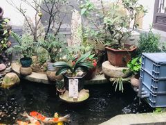 -南花桥羊肉馆老字号(乌镇店)