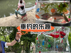 -神仙树公园