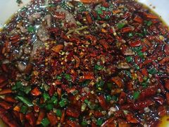 -重庆火锅水库鱼庄(南油店)