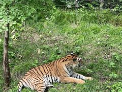 -哈尔滨北方森林动物园