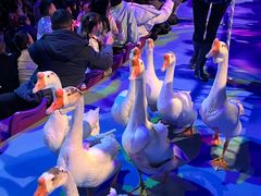 -海合安武汉极地海洋公园