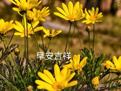 -京东电器(胜利门店)
