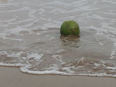 -朱家尖南沙景点