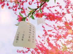 -秀丽东方