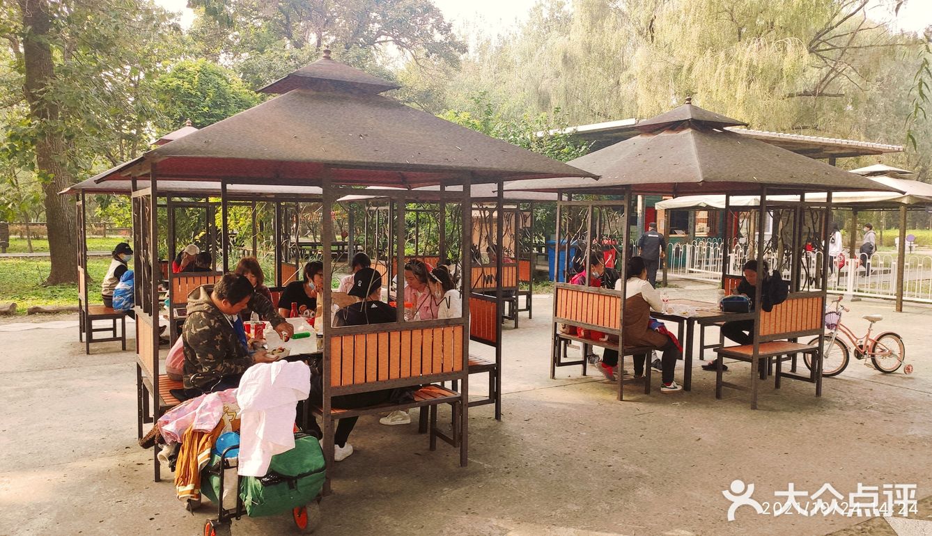 免费公园 近距离接触小动物