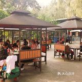 免费公园 近距离接触小动物