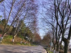-钟山体育运动公园