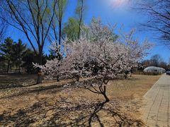 -东升八家郊野公园