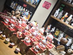 -猫咪博物馆(顶澳仔猫街店)