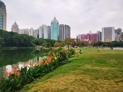 -南宁南湖公园