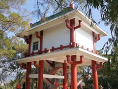 -金鸡山公园